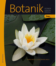 Botanik : systematik, evolution, mångfald (inbunden)