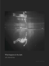 What happens in the dark (inbunden, eng)