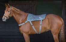 EQUILIBRIUM - Massage Therapy Pad För Häst- XL
