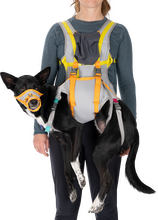 Ruffwear BackTrak Dog Evacuation Kit - Cloudburst Gray (M (69-81 cm))