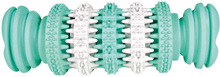 DentaFun Tuggben i gummi- Hundleksak (11,5 cm)