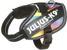 Julius-K9 IDC® Puppy Valpsele - Rainbow (Baby1)