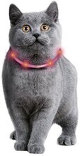 Visio Light - Blinkande LED- halsband för Katt/Liten hund - Röd