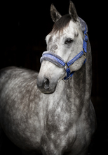 Källquist Equestrian - Grimma Horse Unique - Royal Blå (X-Full)