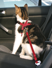 Kissan autovaljaat 20–50 cm – punainen