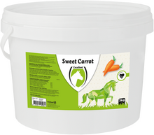 Sweet Carrot Blocks- Makupalat Hevoselle