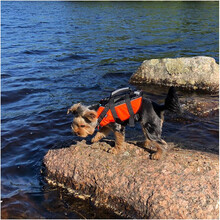 Rukka Safety Flytväst Hund – Orange (M)