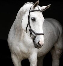 Horseware Micklem Deluxe Competition Träns – Dark Havana (Large Horse)