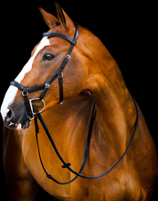 Horseware Micklem 2 Deluxe Competition Träns – Svart (Large Horse)
