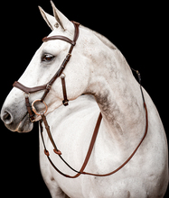 Horseware träns Micklem2 Competition - Dark Havana (Brun) (X-Full (Large Horse))