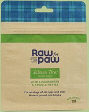 Raw For Paw Salmon Treat Frystorkat Hundgodis - 50 g