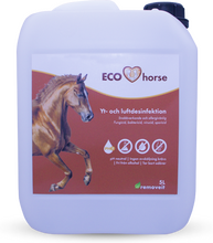 Removeit ECO Horse Yt- & Luftdesinfektion - 5 L