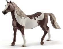 schleich® HORSE CLUB Paint Horse Valack 13885
