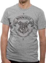 Harry Potter - Hogwarts One Colour T-Shirt