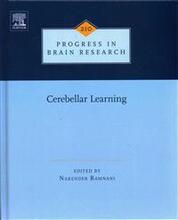 Cerebellar Learning