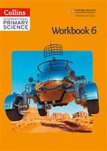 International Primary Science Workbook 6