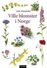 Ville blomster i Norge