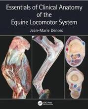 Essentials of Clinical Anatomy of the Equine Locomotor System