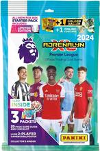 Premier League 2024 Starter Pack
