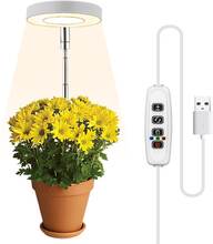 INF Växtbelysning för krukväxter varmvit/vit