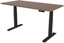 Justerbart skrivbord - 160x80 cm - Dubbel - Svart / Mörk ek