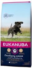 Eukanuba EUK Junior Large Breed Chicken 15KG