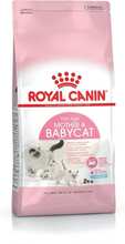 Kattmat Royal Canin Mother & Babycat Vuxen Fåglar 4 Kg
