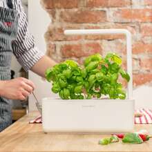 Click and Grow Smart Garden 3 Start kit - Mellow Beige