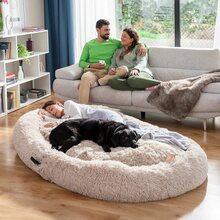 Hundsäng för människor | Human Dog Bed XXL InnovaGoods Beige