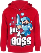 Minecraft Boys Like A Boss huvtröja