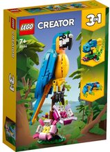 LEGO® Creator 3in1 Exotisk papegoja 31136