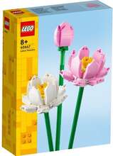 LEGO Iconic 40647 Lotusblommor