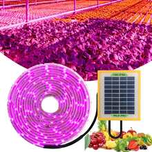 LED Full Spectrum Plant Fill Light Grow Light(Solar Panel+ 5M Lamps)
