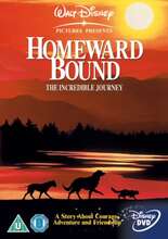 Homeward Bound (Import)