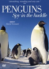 Penguins: Spy in the Huddle (Import)