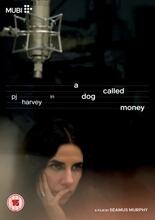 A Dog Called Money (Import)