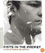 Fists in the Pocket - The Criterion Collection (Blu-ray) (Import)