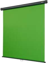 celexon manuell projektorduk Green Screen 200 x 190 cm