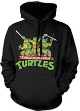 Turtles Distressed Group Hoodie Medium