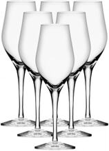 Sense Champagneglas 25,5cl, 6-pack - Orrefors