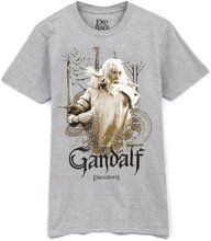 The Lord Of The Rings Gandalf Heather T-Shirt för män