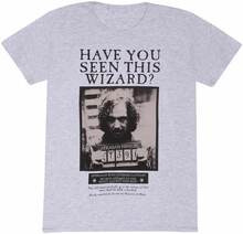 Harry Potter Unisex Adult Sirius Black Wanted Poster T-Shirt