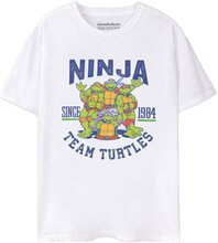 Teenage Mutant Ninja Turtles 1984 Collegiate kortärmad t-shirt för herrar