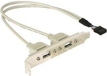 Delock - USB-panel - 10-stifts USB-överdel (hane) till USB (hona) - 30 cm