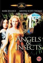 Angels And Insects DVD (2003) Mark Rylance, Haas (DIR) Cert 18 Pre-Owned Region 2