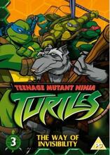 Teenage Mutant Ninja Turtles: Volume 3 - The Way Of Invisibility DVD (2006) Pre-Owned Region 2