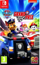 Paw Patrol Grand Prix Nintendo Switch