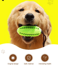 Doggystick - den smarta Tandborsten för Hund--Doggybrush