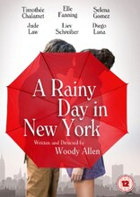 Rainy Day in New York (Import)