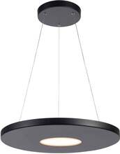 Almost New Plate Ceiling Lamp Black